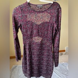 Express Lace Bodycon Dress